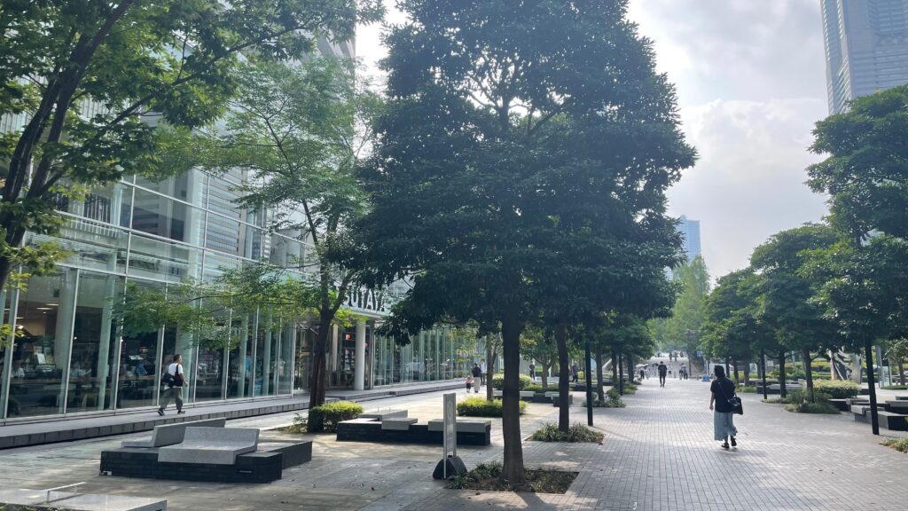 まとめ・関連情報