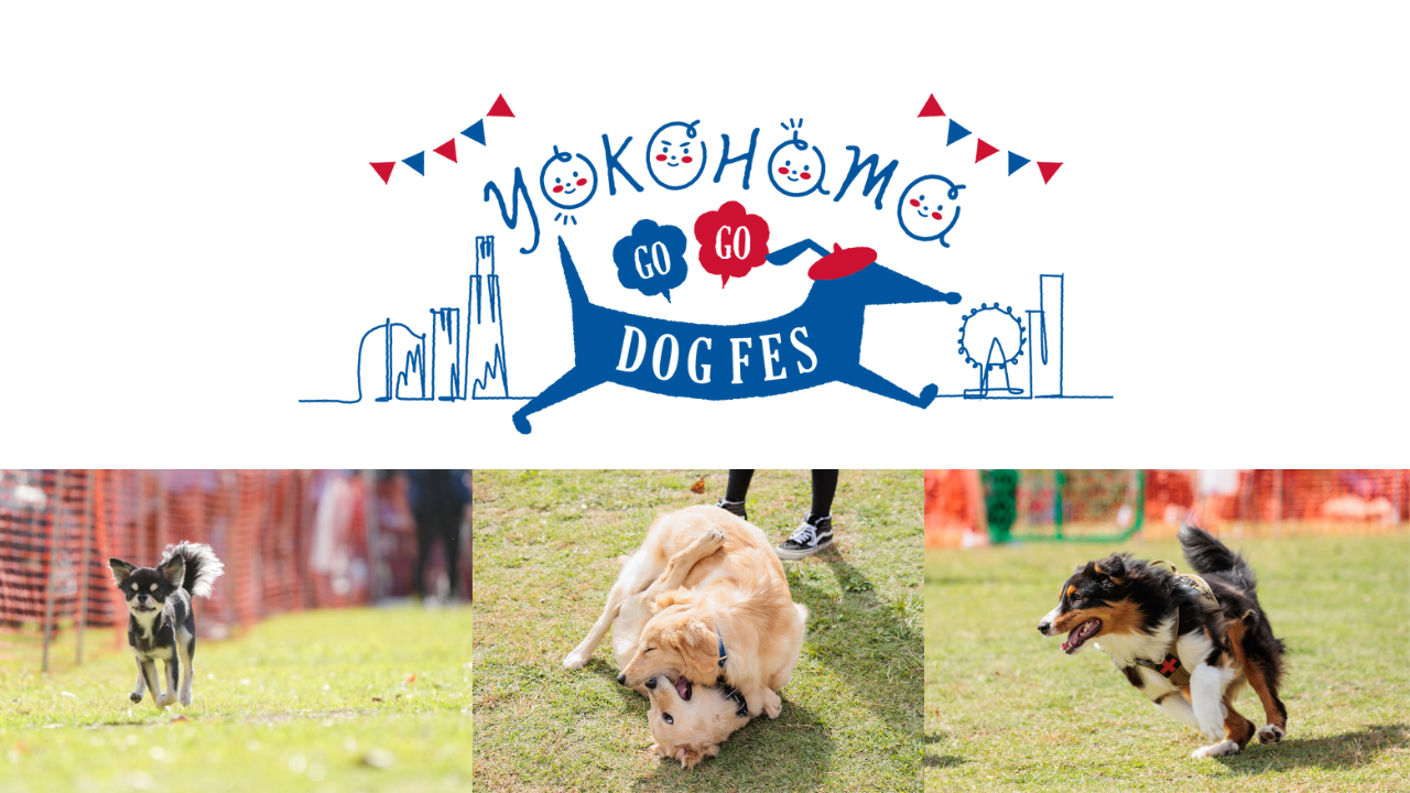 YOKOHAMA GOGO DOG FES 2025 Autumn
