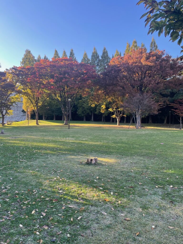 公園