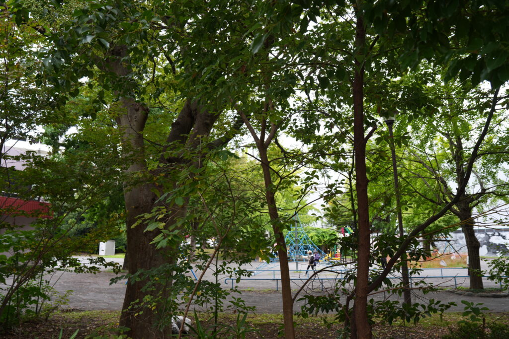 神奈川公園