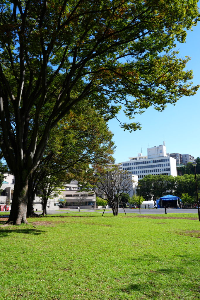 沢渡中央公園